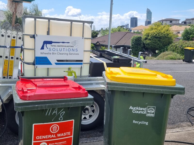 Wheelie bin clean