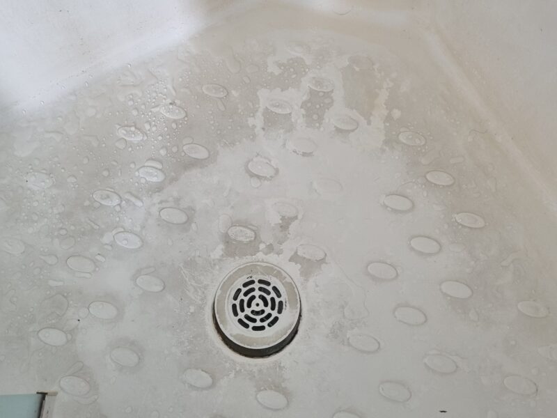 Weekly Vamp; Fortnightly Cleaning