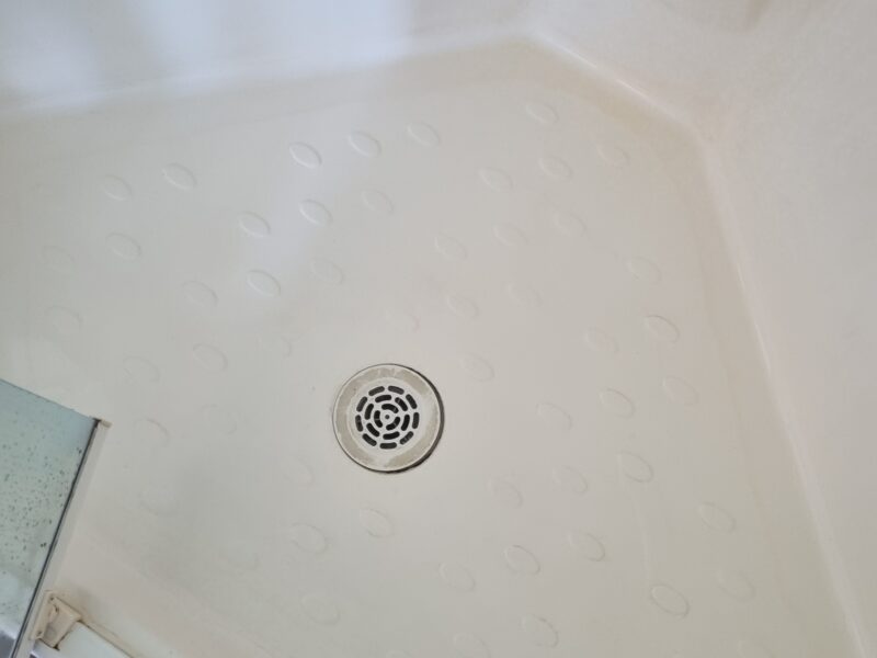 Weekly Vamp; Fortnightly Cleaning