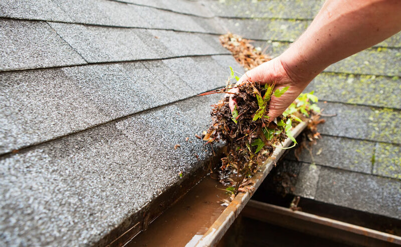 Gutter Cleaning