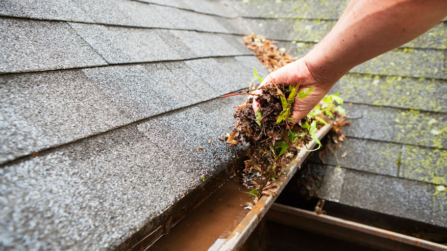 Gutter Cleaning