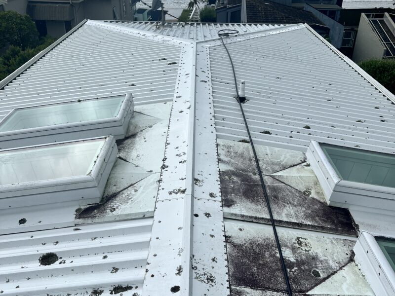 Roof Washing - pay by quote