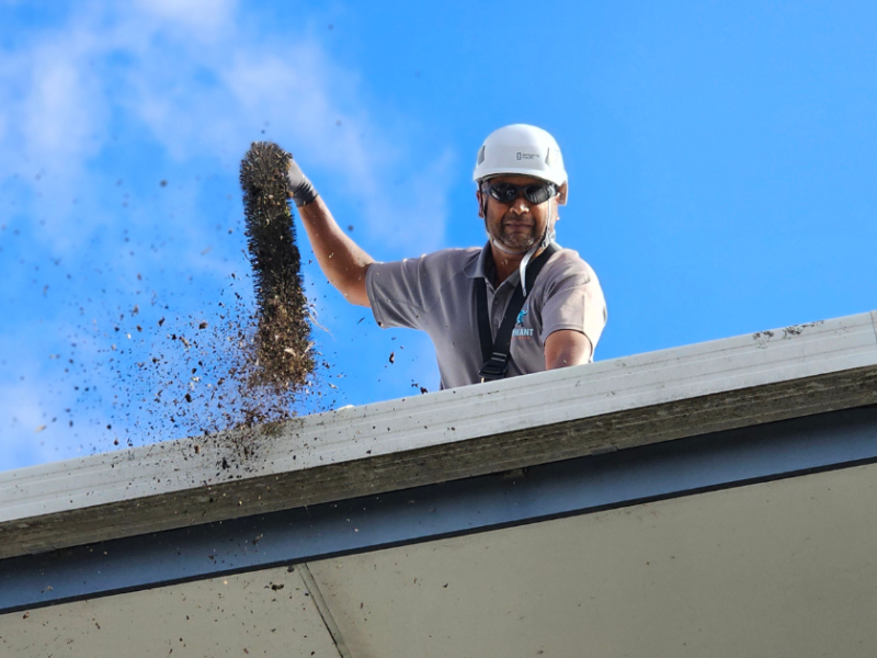 Gutter Cleaning