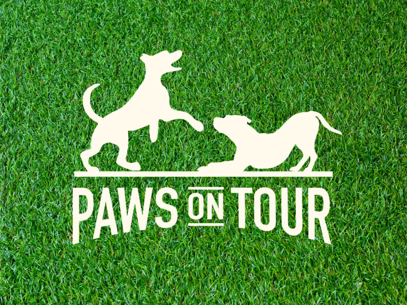 Paws on Tour - Dog Walking